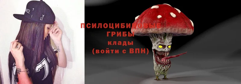 Галлюциногенные грибы MAGIC MUSHROOMS  где найти наркотики  Обнинск 